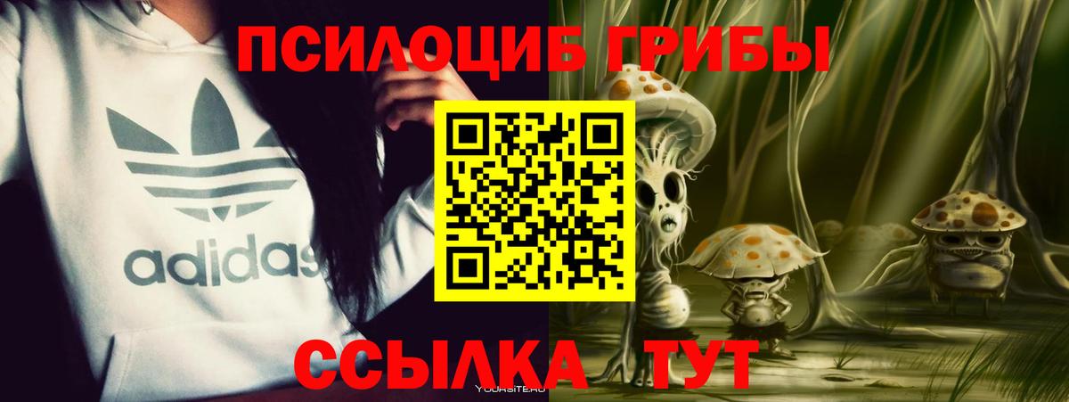 Владимир  Псилоцибиновые грибы прущие грибы  Вход с VPN 